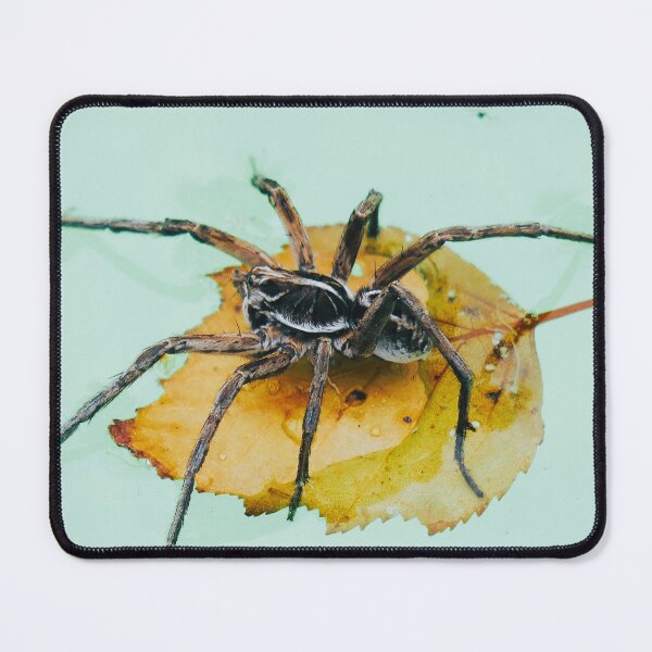 Item preview, Wolf Spider designed and sold by Mishka Gora.