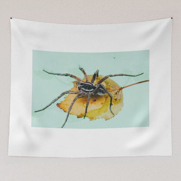 Item preview, Wolf Spider designed and sold by Mishka Gora.