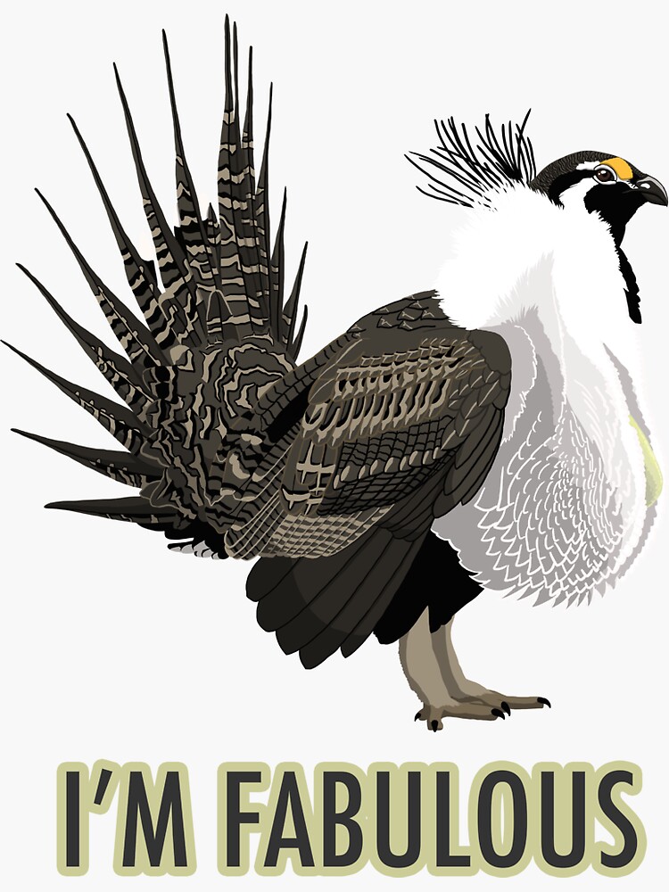 Thumbnail 3 of 3, Sticker, Fabulous Greater Sage-Grouse designed and sold by BennuBirdy.