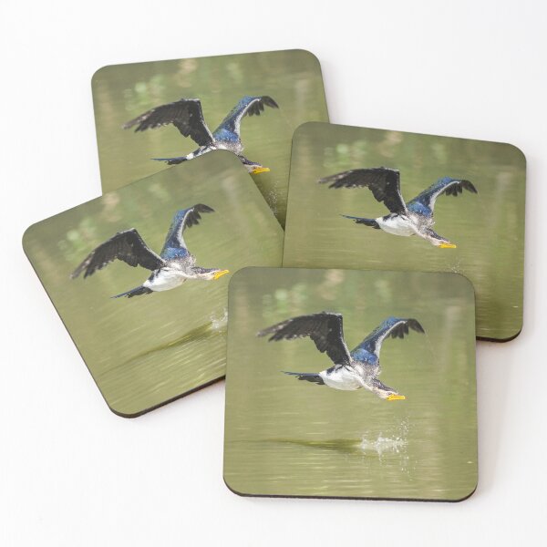 Item preview, Little Pied Cormorant in flight designed and sold by robdwildlife.