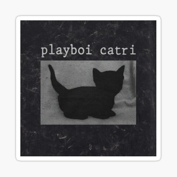 Aperçu de l'œuvre Nettoyant acide Catri de Playboi créée et vendue par PsychedelicHQ.