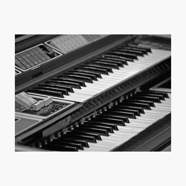 Vital Organ Photographic Print