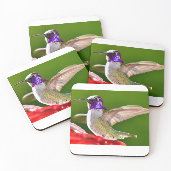 Item preview, Beautiful iridescent purple Costa Hummingbird Wings flapping designed and sold by Yogibear & Rachelle .
