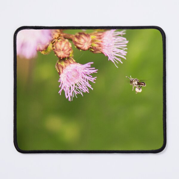 Item preview, Charcoal Stingless Bee designed and sold by robdanimalphotography.