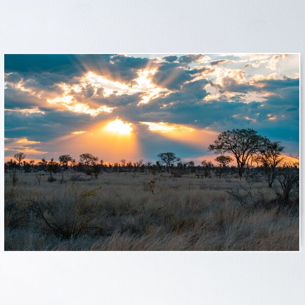 Item preview, Savannah Sunset designed and sold by MyAfricanSafari.