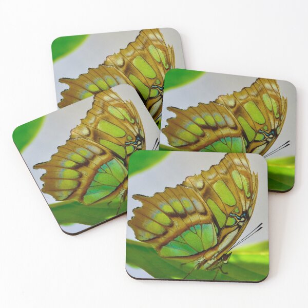 Item preview, Stunning shades of green Malachite Butterfly in rainforest  designed and sold by Yogibear & Rachelle .