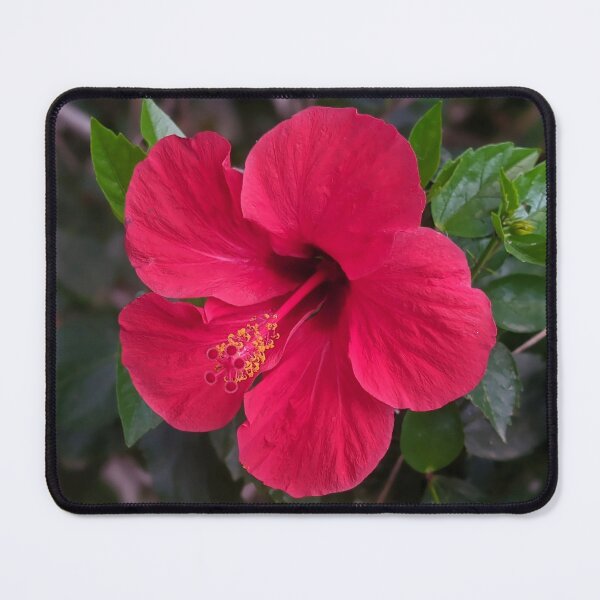 Item preview, Hot Red Green Exotic Hibiscus Tropical Flower Shapes Mania designed and sold by Shapes-Mania.