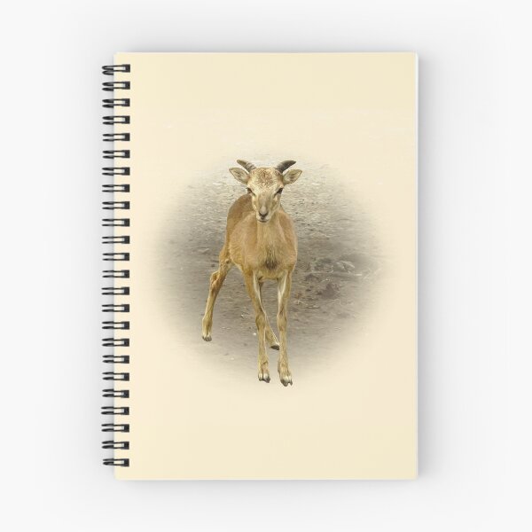 Item preview, Little mouflon designed and sold by Guardi71.