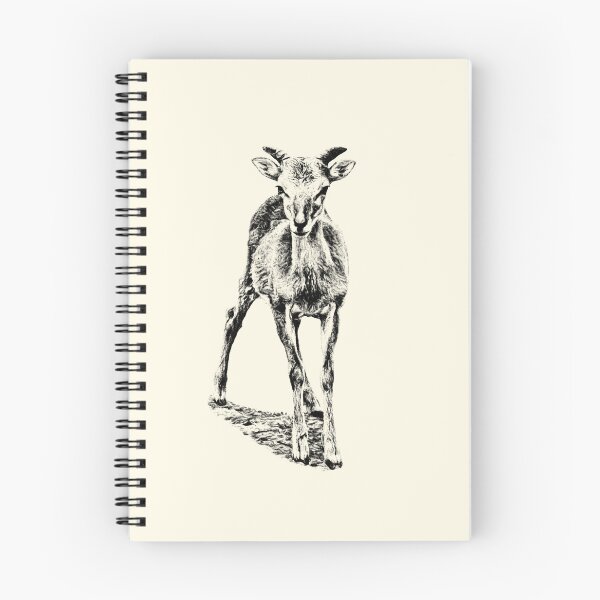 Item preview, Little mouflon designed and sold by Guardi71.