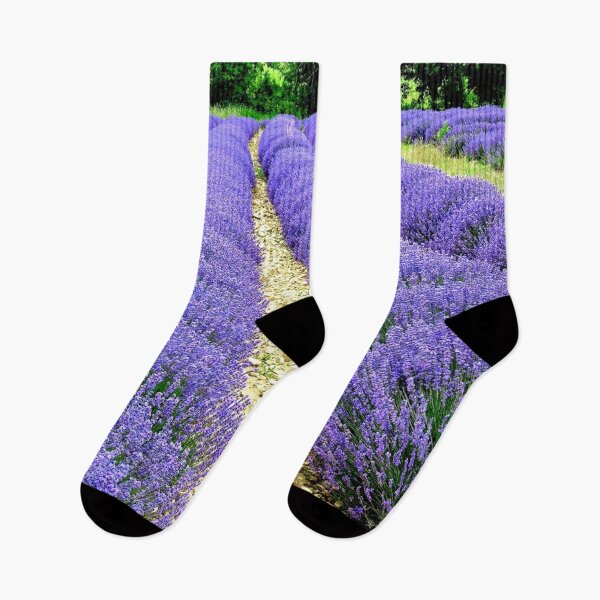 Item preview, View of lavender fields in the Drôme provencale in France designed and sold by franck380.