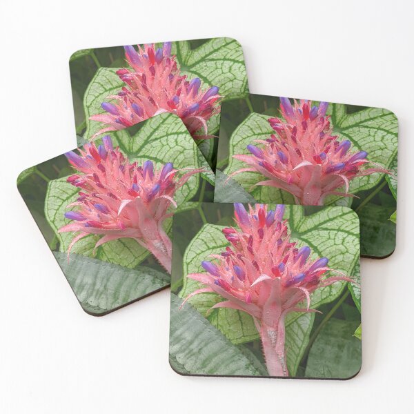 Item preview, Pink Purple Aechmea Fasciata Exotic Tropical Flower Shapes Mania designed and sold by Shapes-Mania.