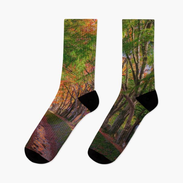 Item preview, Vibrant Autumn Pathway in Japan designed and sold by pepperonishots.