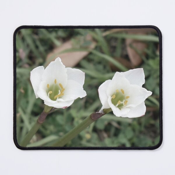 Item preview, Side by Side designed and sold by bertsworks300.
