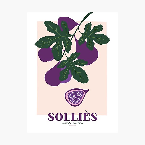 Item preview, poster illustration figs of solliès, var, french riviera designed and sold by manonpradier.