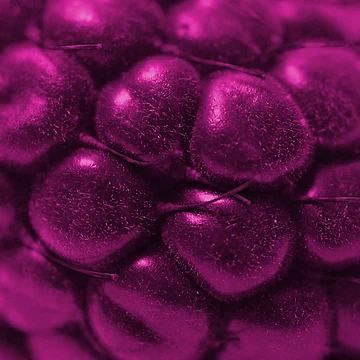 Artwork thumbnail, Abstract Raspberries by numberchic