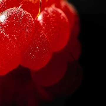 Artwork thumbnail, Macro Raspberry by numberchic