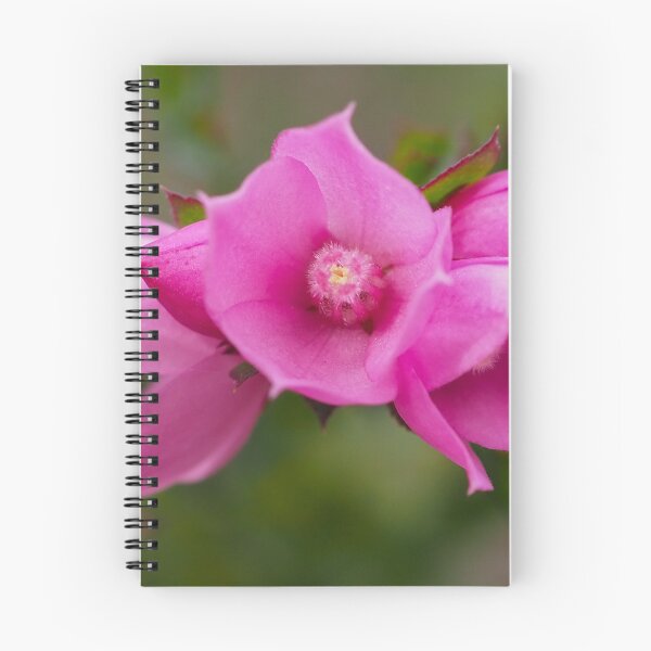 Item preview, Australian native flower Boronia Serrulata aka native rose designed and sold by numberchic.