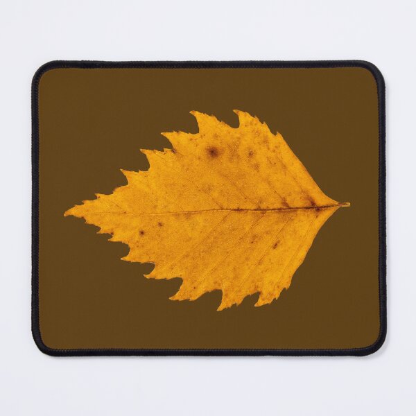 Item preview, Bright yellow poplar tree leaf designed and sold by KRFNatureGifts.