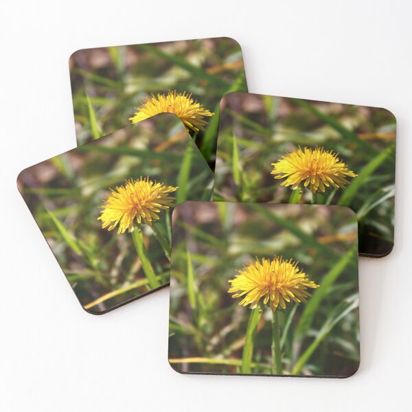 Item preview, Dandelion flower  designed and sold by McFleur's Lens.