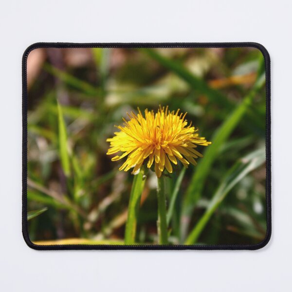 Item preview, Dandelion flower  designed and sold by McFleur's Lens.