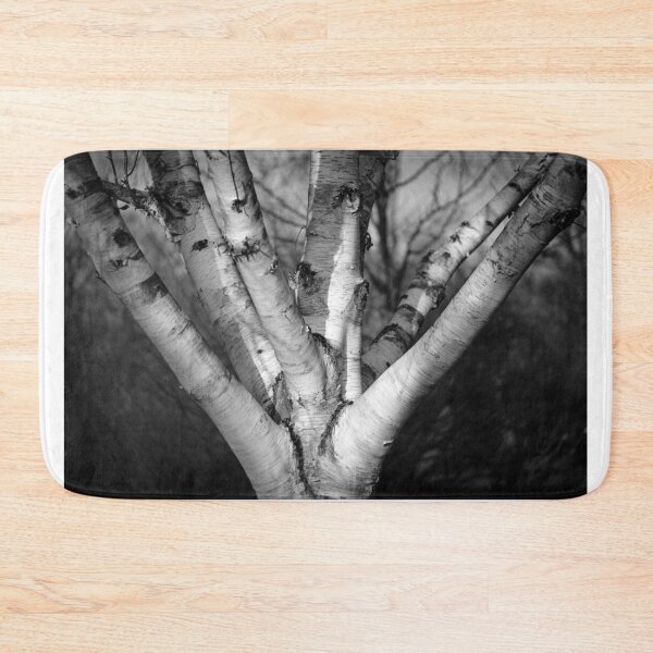 Item preview, A beautiful black and white birch designed and sold by connyM-Sweden.