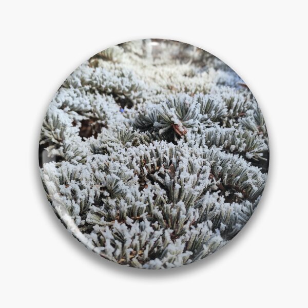 Item preview, Hoarfrost on pine needles designed and sold by Gourmetkater.