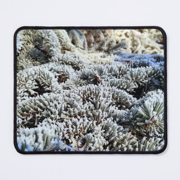 Item preview, Hoarfrost on pine needles designed and sold by Gourmetkater.