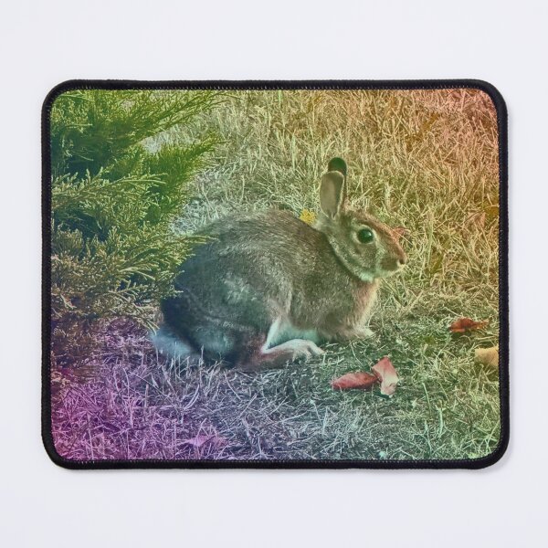 Item preview, Night Bunny designed and sold by South Bay Storyteller .