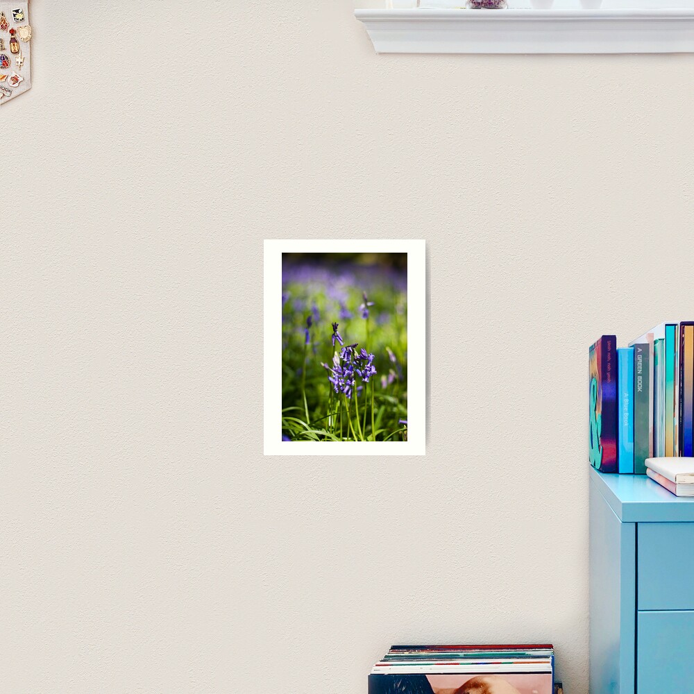 Bluebells (Hyacinthoides non-scripta) Art Print