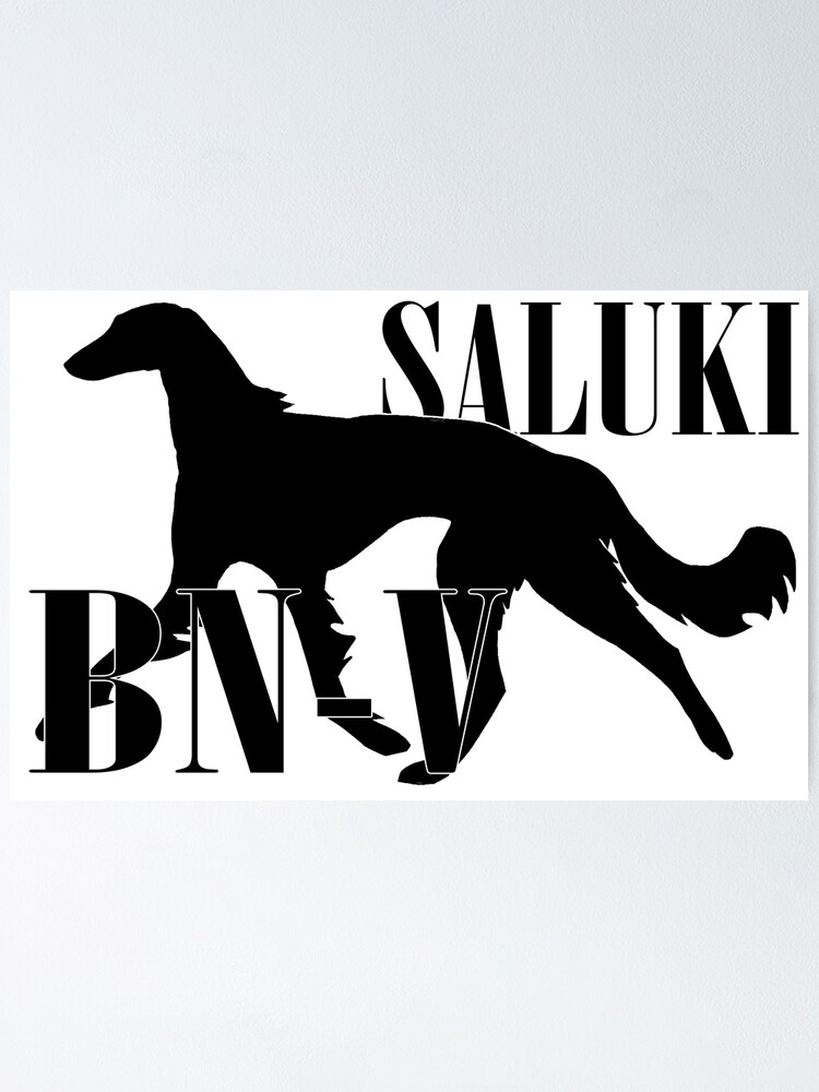 Beginner Novice Virtual Obedience AKC Title Saluki