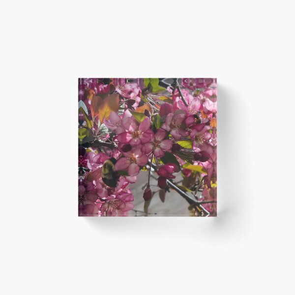 Item preview, Bumble Bee in the Crabapple Tree designed and sold by Quincy-Hedgehog.