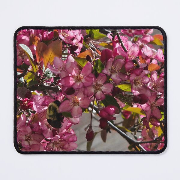 Item preview, Bumble Bee in the Crabapple Tree designed and sold by Quincy-Hedgehog.
