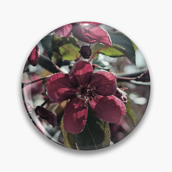 Item preview, Desaturated Crabapple Blossom designed and sold by Quincy-Hedgehog.