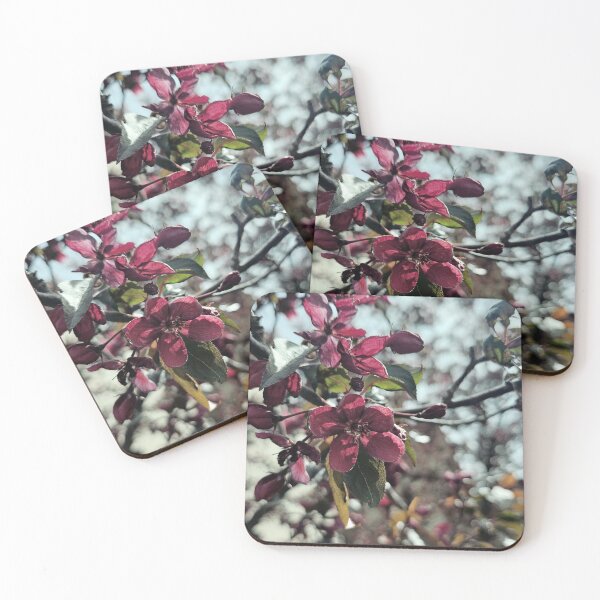 Item preview, Desaturated Crabapple Blossom designed and sold by Quincy-Hedgehog.