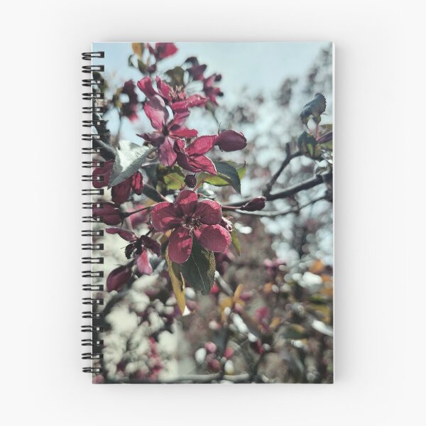 Item preview, Desaturated Crabapple Blossom designed and sold by Quincy-Hedgehog.