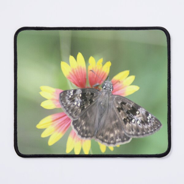Item preview, Brown Skipper Butterfly on Firewheel Flower designed and sold by HematiteDesign.