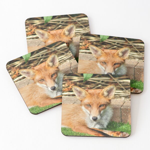 Item preview, Keeping A Watchful Eye designed and sold by Vicki Spindler (VHS Photography).