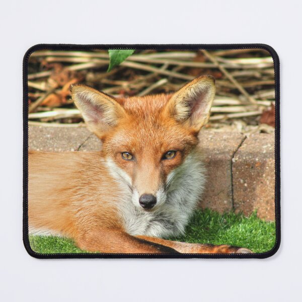 Item preview, Keeping A Watchful Eye designed and sold by Vicki Spindler (VHS Photography).