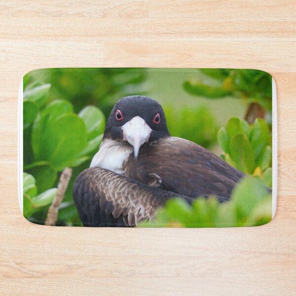 Item preview, Nest of the Frigatebird designed and sold by zmphotography.