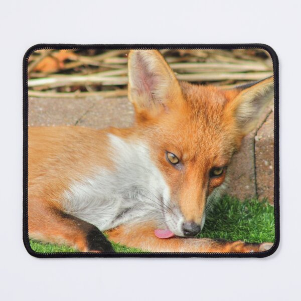 Item preview, Cute Fox in my Garden designed and sold by Vicki Spindler (VHS Photography).