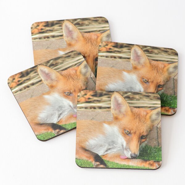Item preview, Cute Fox in my Garden designed and sold by Vicki Spindler (VHS Photography).