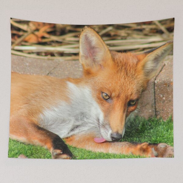 Item preview, Cute Fox in my Garden designed and sold by Vicki Spindler (VHS Photography).