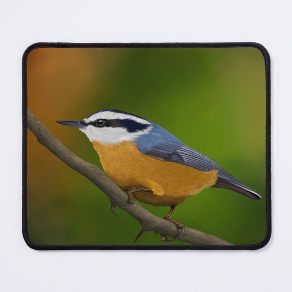 Item preview, Red Breasted Nuthatch designed and sold by SteveHerner.
