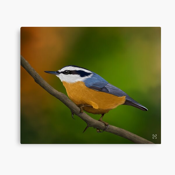 Item preview, Red Breasted Nuthatch designed and sold by SteveHerner.