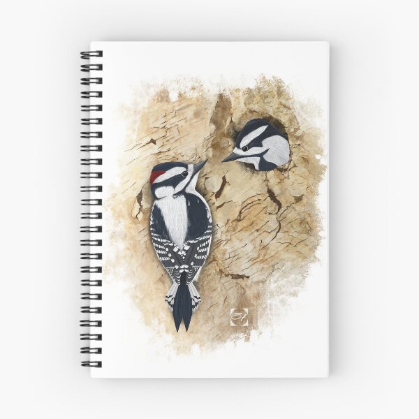 Item preview, Downy Woodpecker, Home Sweet Home designed and sold by SteveHerner.