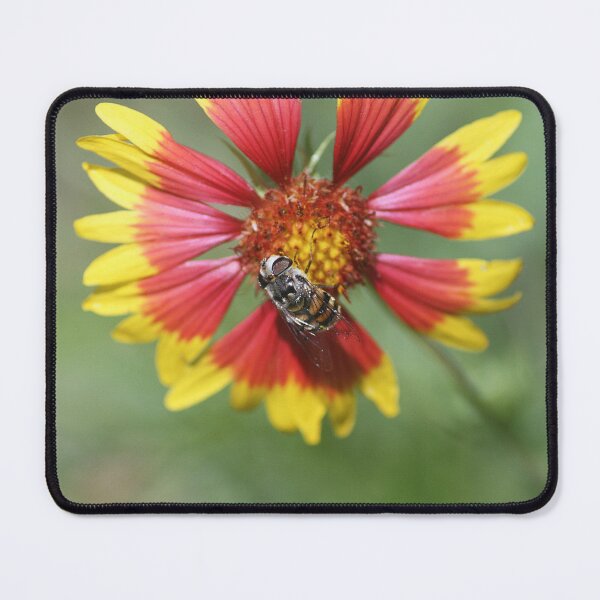 Item preview, Bee On Firewheel Flower designed and sold by HematiteDesign.