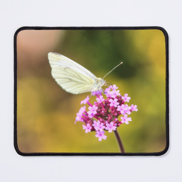 Item preview, White Butterfly designed and sold by Vicki Spindler (VHS Photography).