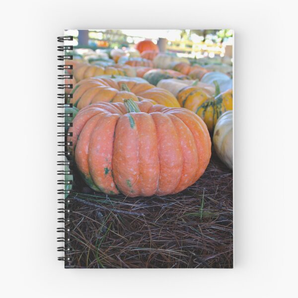 Item preview, Pumpkins (2) designed and sold by McFleur's Lens.