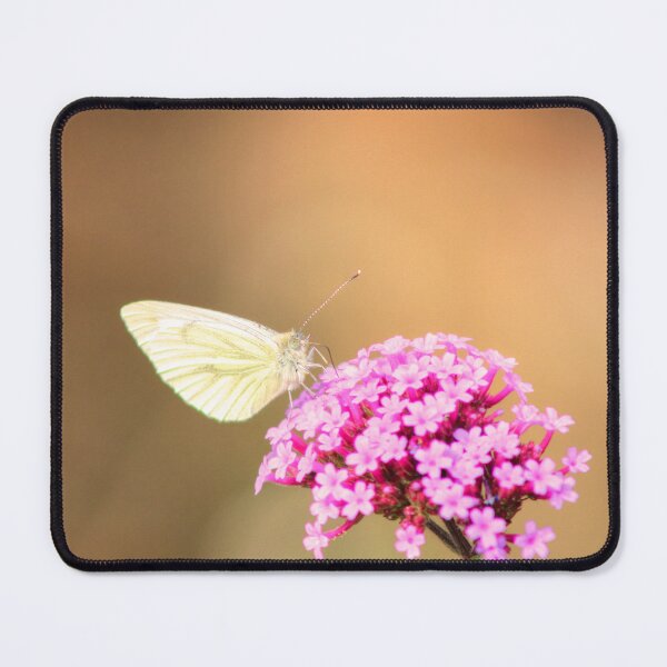 Item preview, Nature is Beautiful  designed and sold by Vicki Spindler (VHS Photography).
