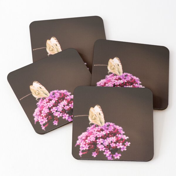 Item preview, Magical designed and sold by Vicki Spindler (VHS Photography).
